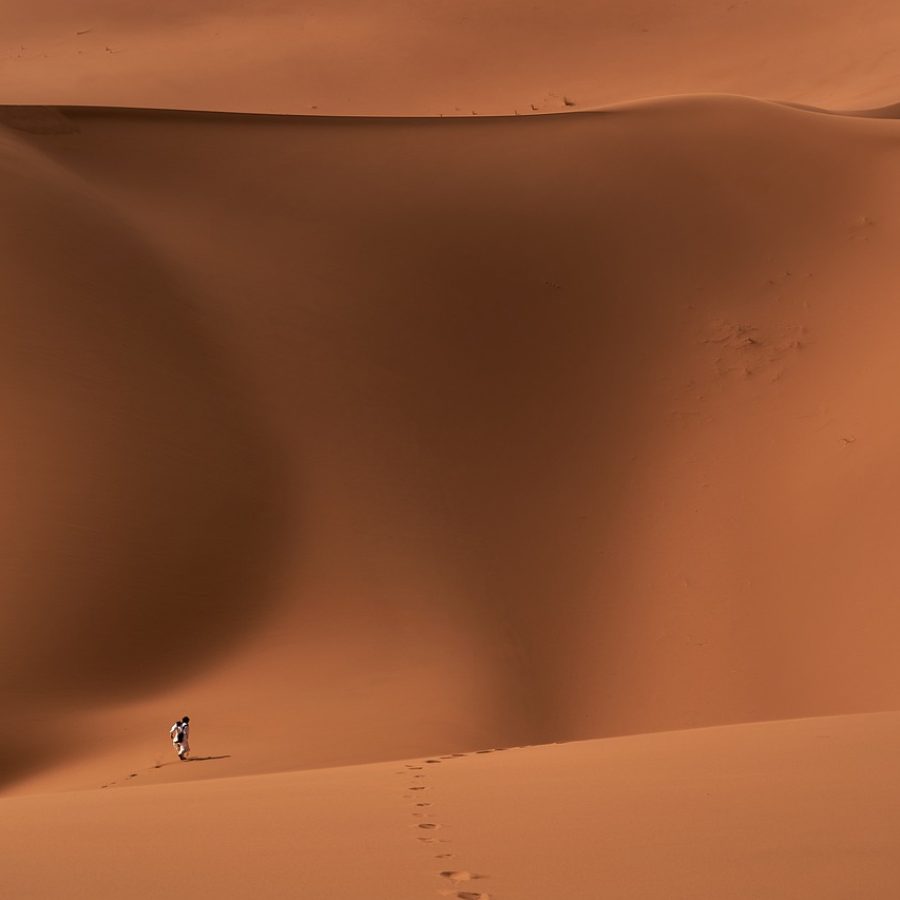 desert-6262547_1280